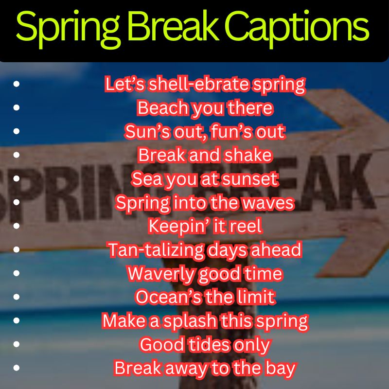 Spring Break Fun Phrases