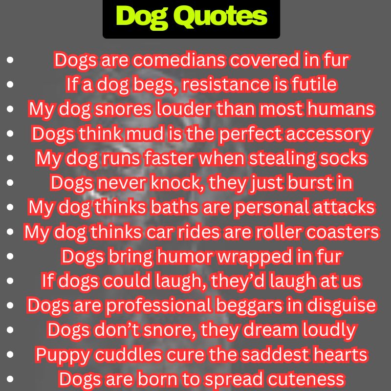 Best Dog Quotes