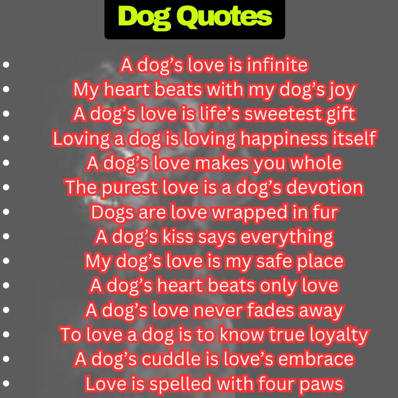Dog Love Quotes