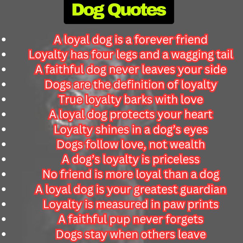 Loyal Dog Sayings