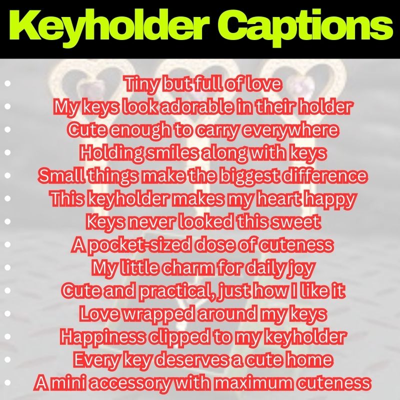 Cute Keyholder Lines