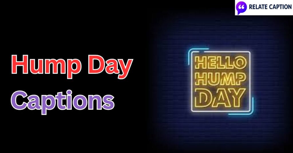 650+ Hump Day Captions, Funny Quotes, Cute Lines