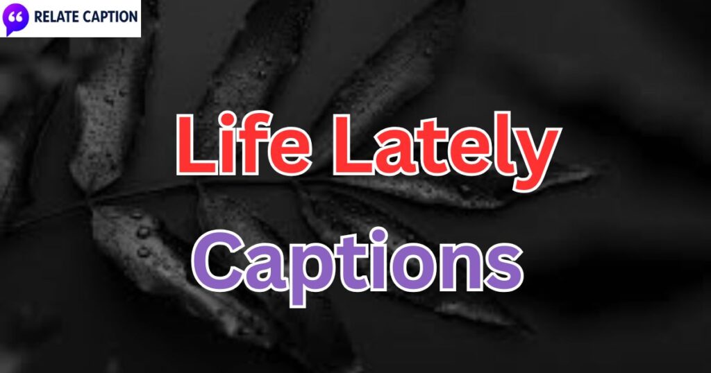 700+ Life Lately Captions: Best, Cute, and Funny Lines 700+ Life Lately Captions: Best, Cute, and Funny Lines