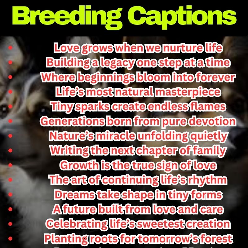 Best Breeding Captions