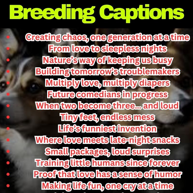 Funny Breeding Lines
