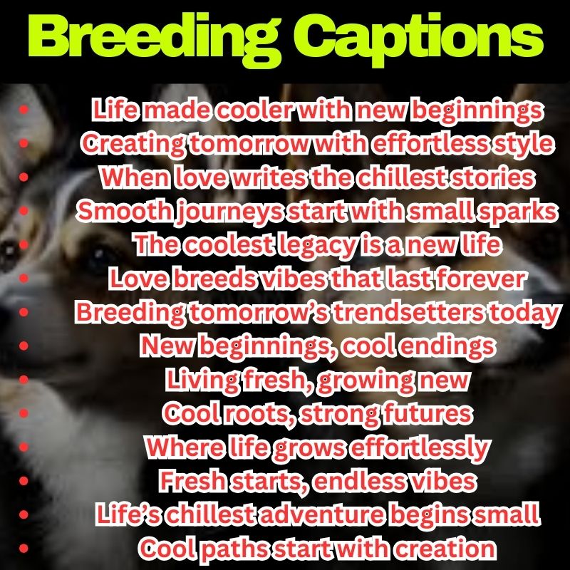 Cool Breeding Captions