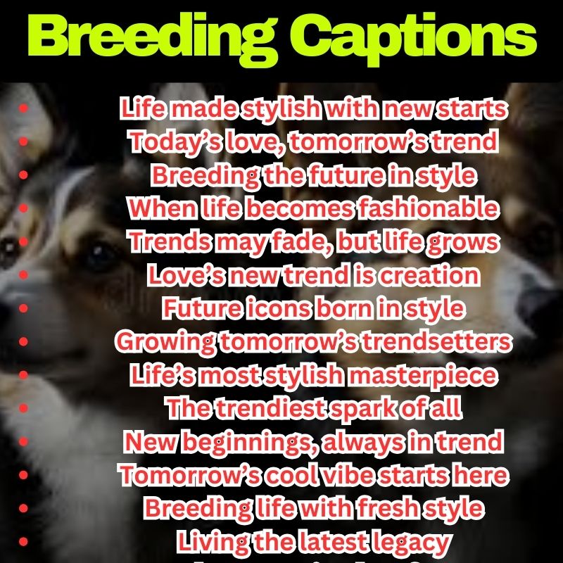 Trendy Breeding Lines