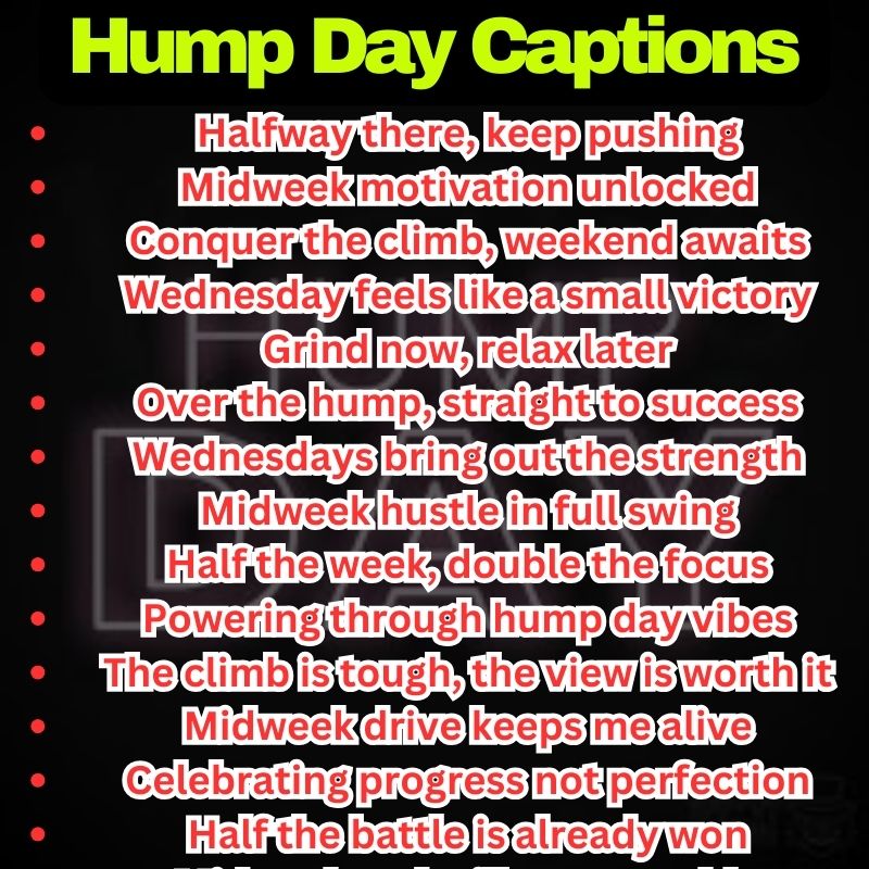 Best Hump Day Captions