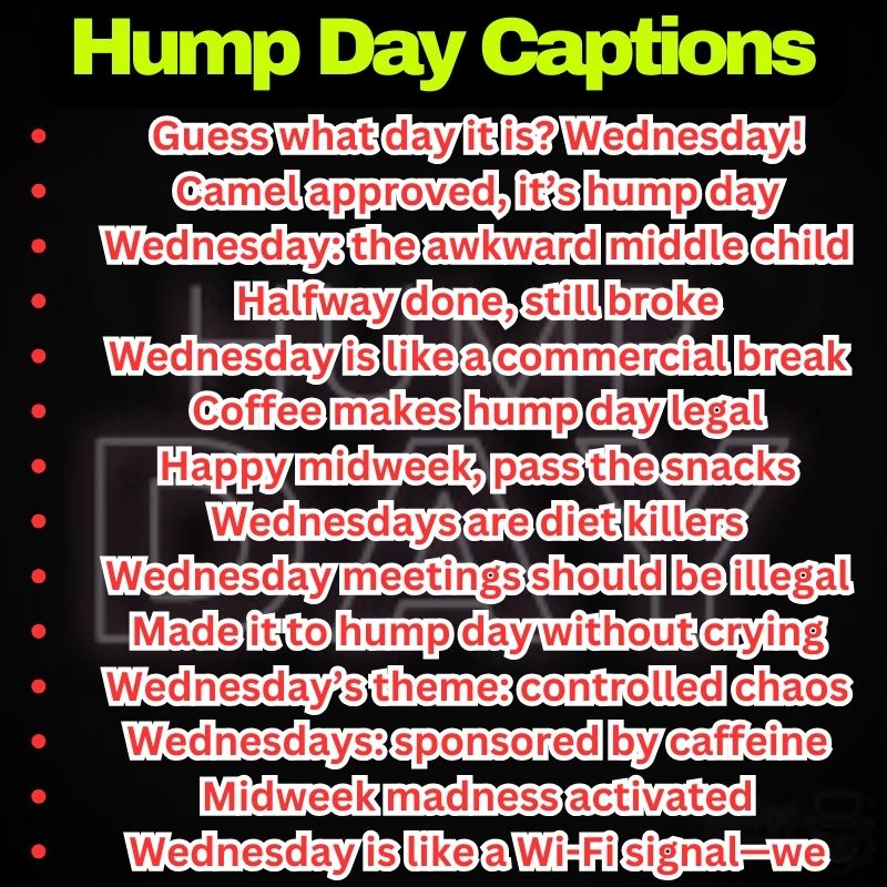 Funny Hump Day Quotes