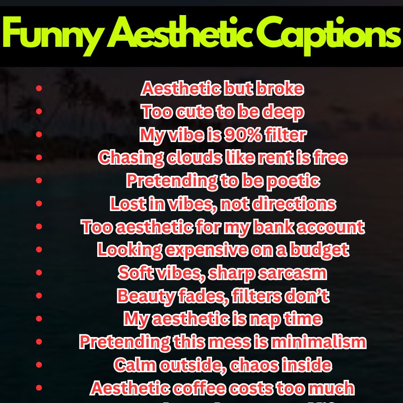 Funny Aesthetic Quotes