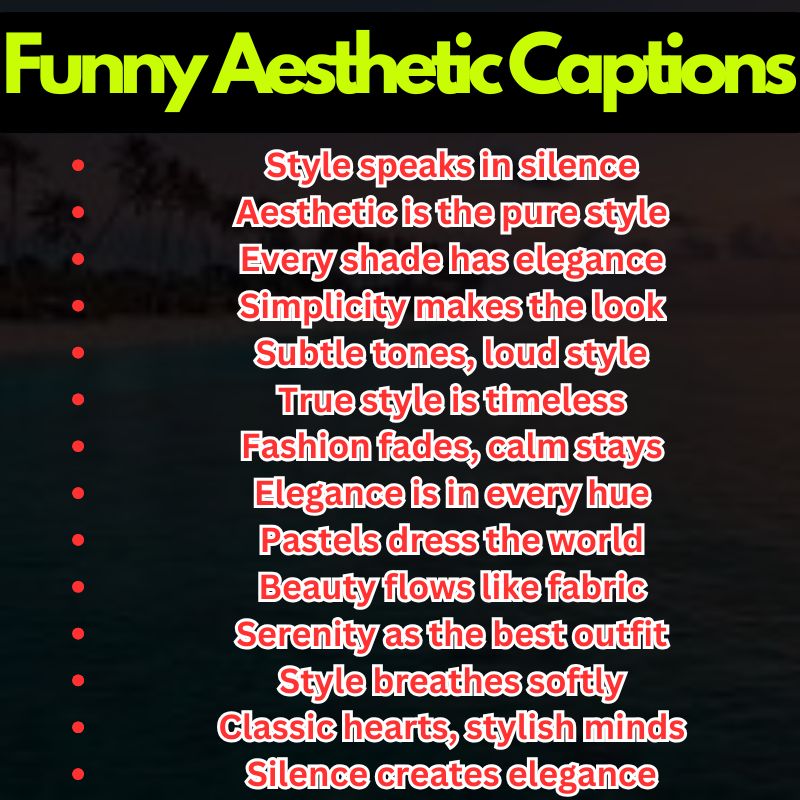 Stylish Aesthetic Quotes