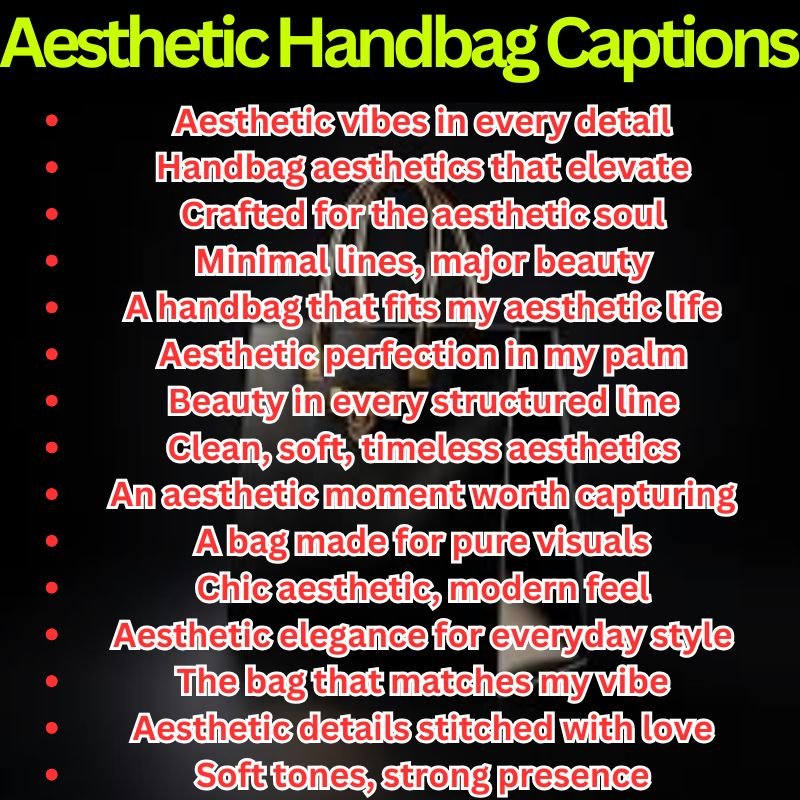 Aesthetic Handbag Captions