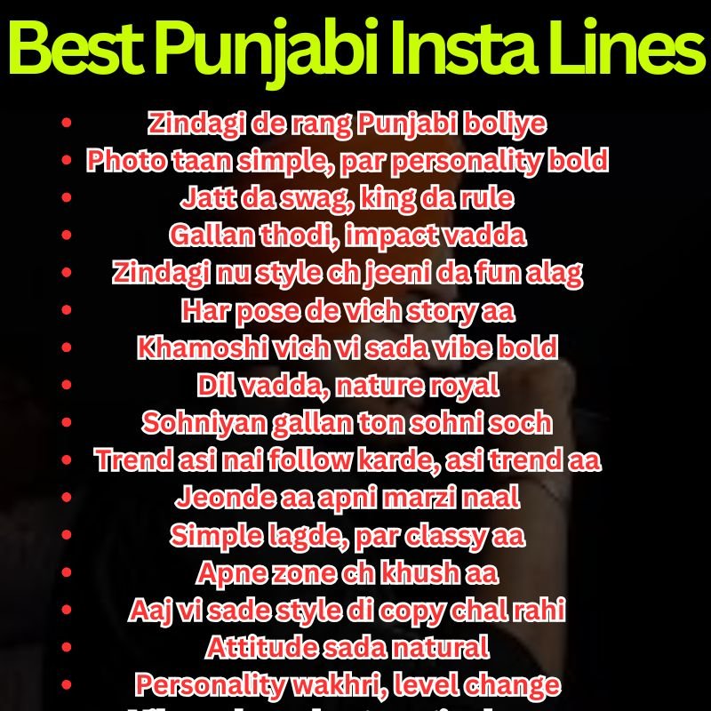 Best Punjabi Insta Lines