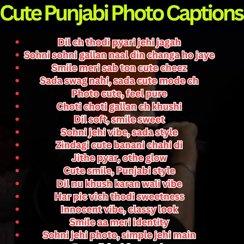 Cute Punjabi Photo Captions