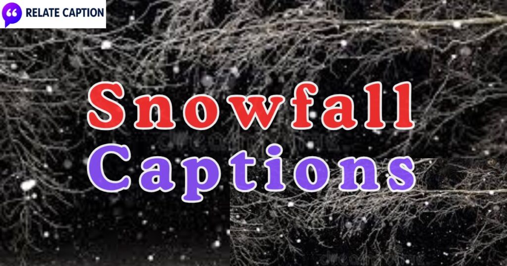 550+ Snowfall Captions That Elevate Your Winter Pics