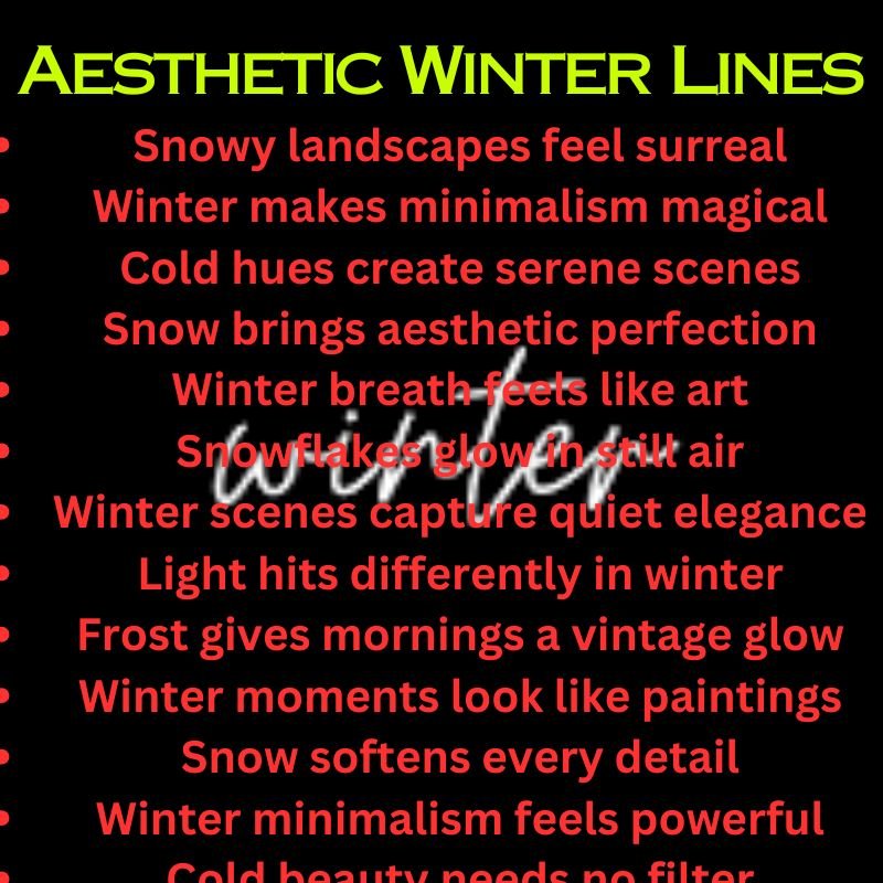 Aesthetic Winter Lines