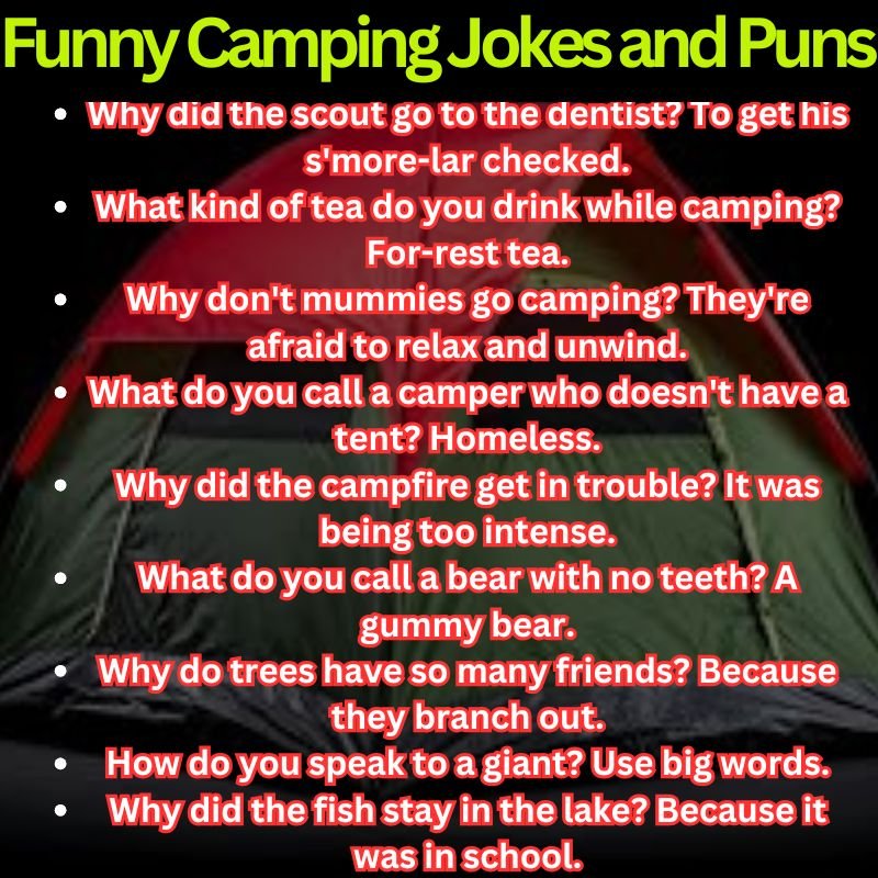 Funny Camping Jokes and Puns