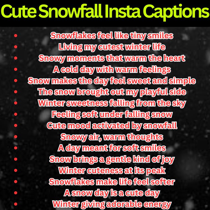 Cute Snowfall Insta Captions