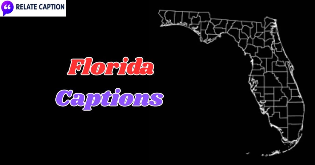 500+ Florida Captions Top Sunshine State Travel Ideas