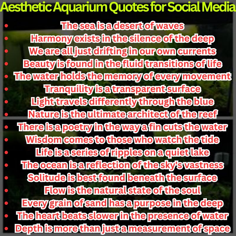 Aesthetic Aquarium Quotes for Social Media