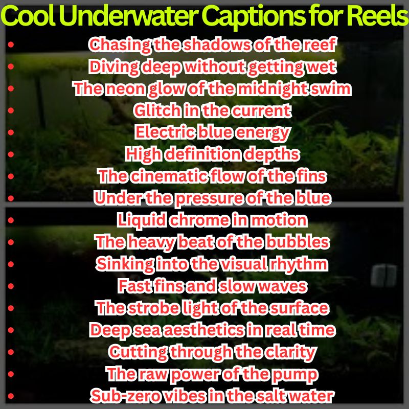 Cool Underwater Captions for Reels