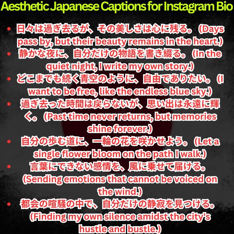 Aesthetic Japanese Captions for Instagram Bio