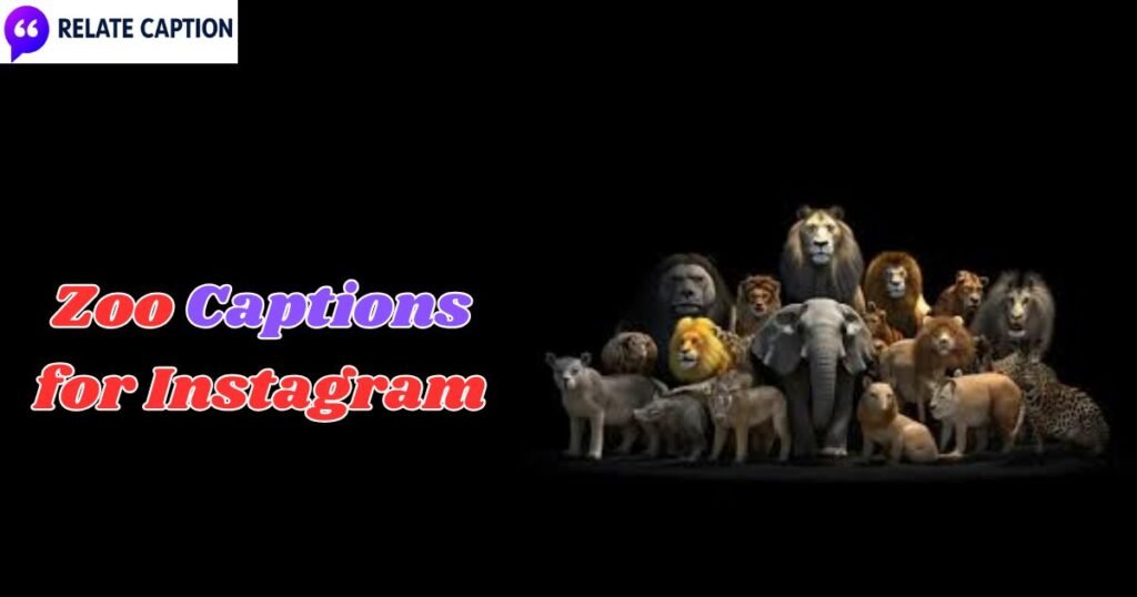 400+ Best Zoo Captions for Instagram & Viral Post Ideas