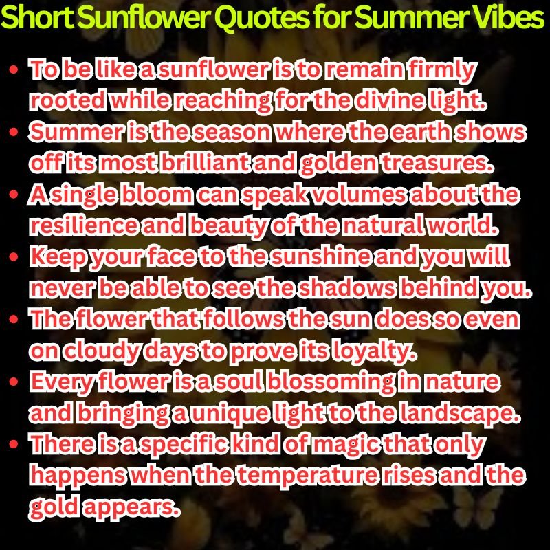 Short Sunflower Quotes for Summer Vibes