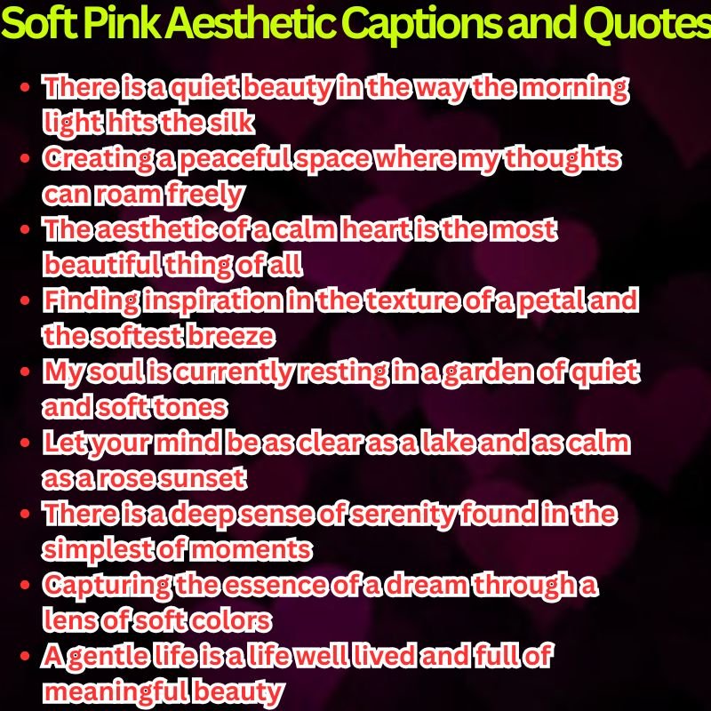 Soft Pink Aesthetic Captions and Quotes