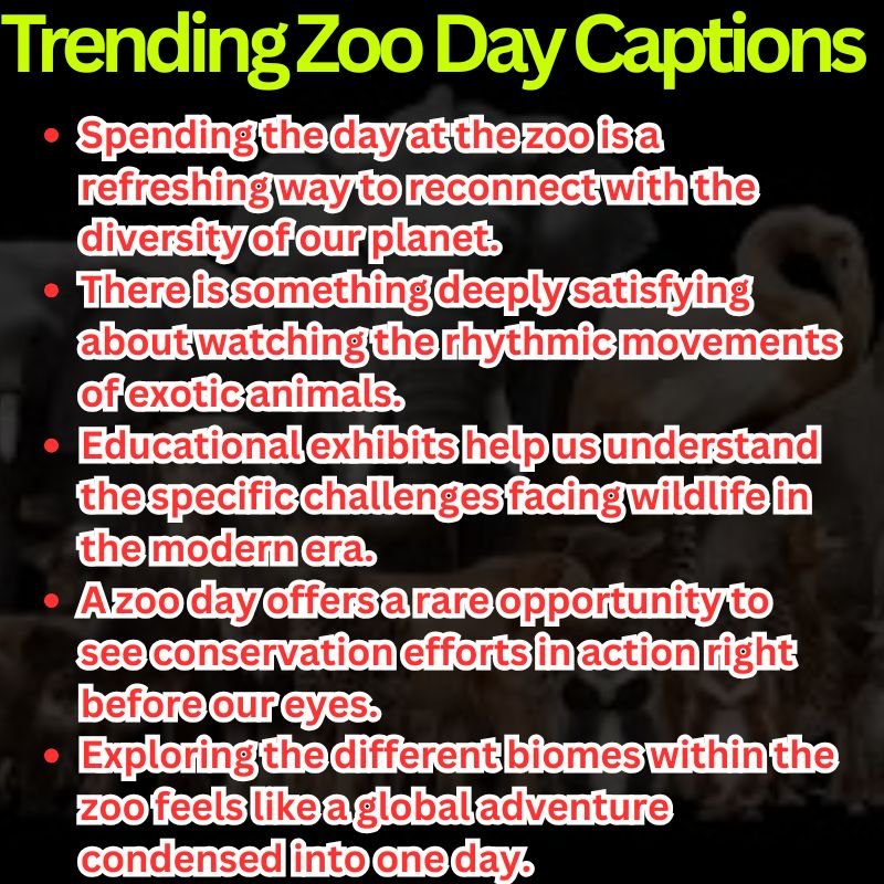 Trending Zoo Day Captions