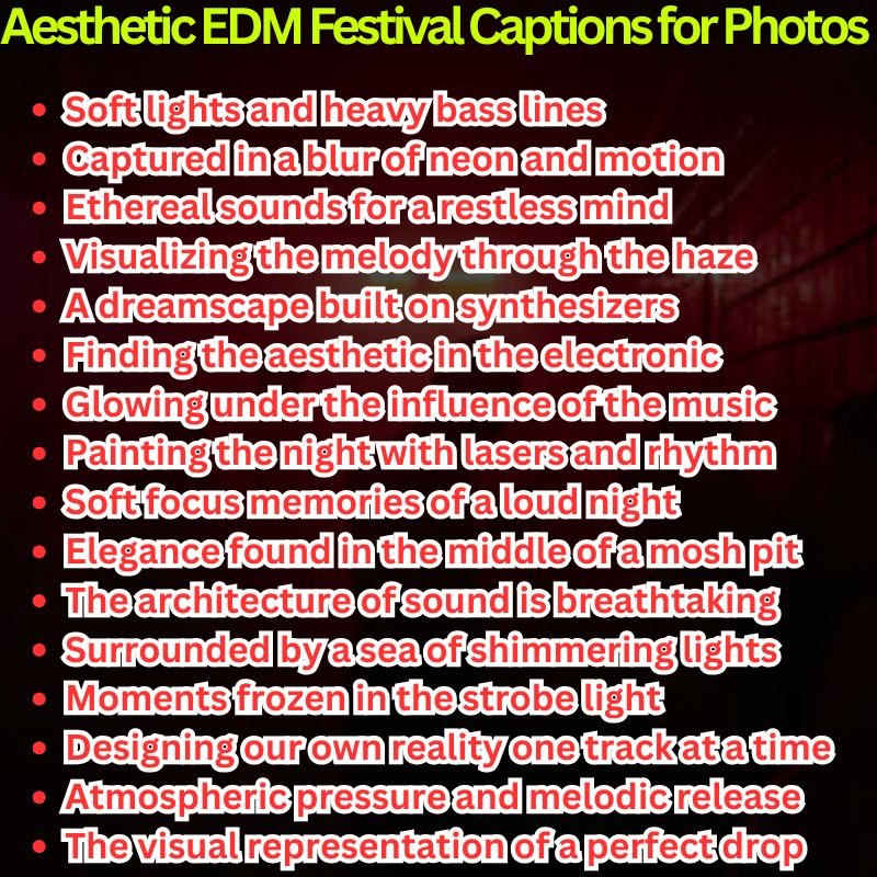 Aesthetic EDM Festival Captions for Photos