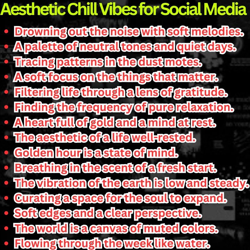Aesthetic Chill Vibes for Social Media