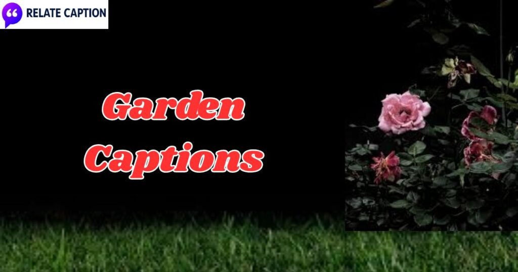 550+ Garden Captions to Boost Your Instagram Reach