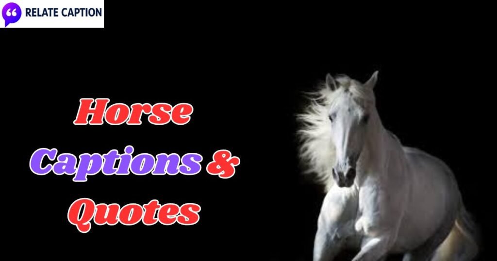 600+ Best Horse Captions & Quotes for Equestrian Vibes