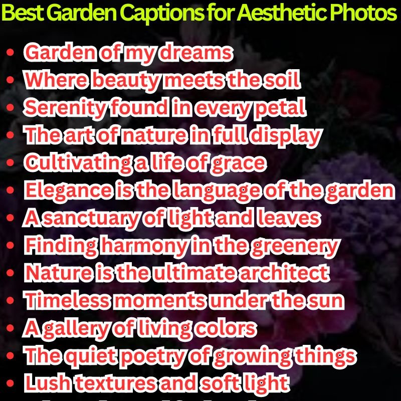 Best Garden Captions for Aesthetic Photos