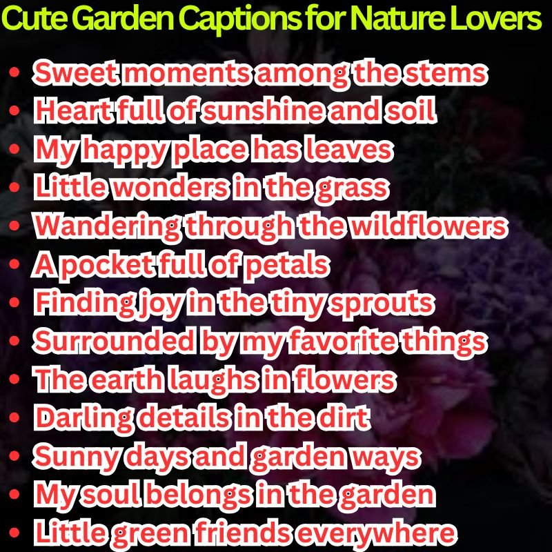 Cute Garden Captions for Nature Lovers