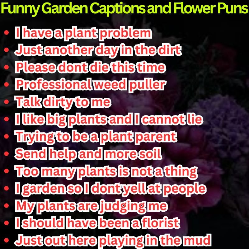 Funny Garden Captions and Flower Puns