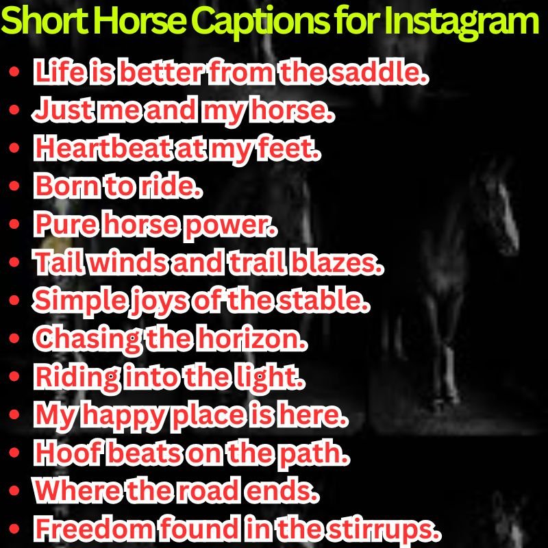 Short Horse Captions for Instagram