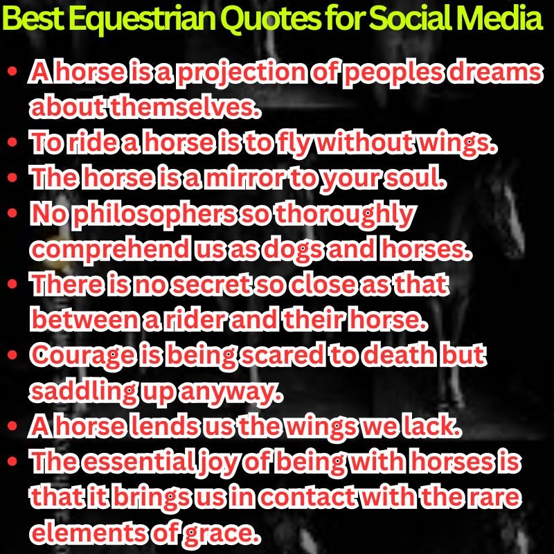 Best Equestrian Quotes for Social Media