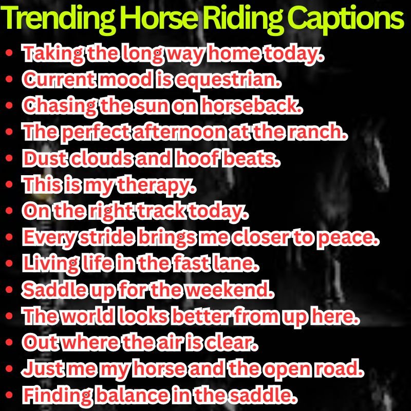 Trending Horse Riding Captions