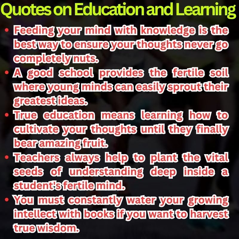 Quotes on Education and Learning