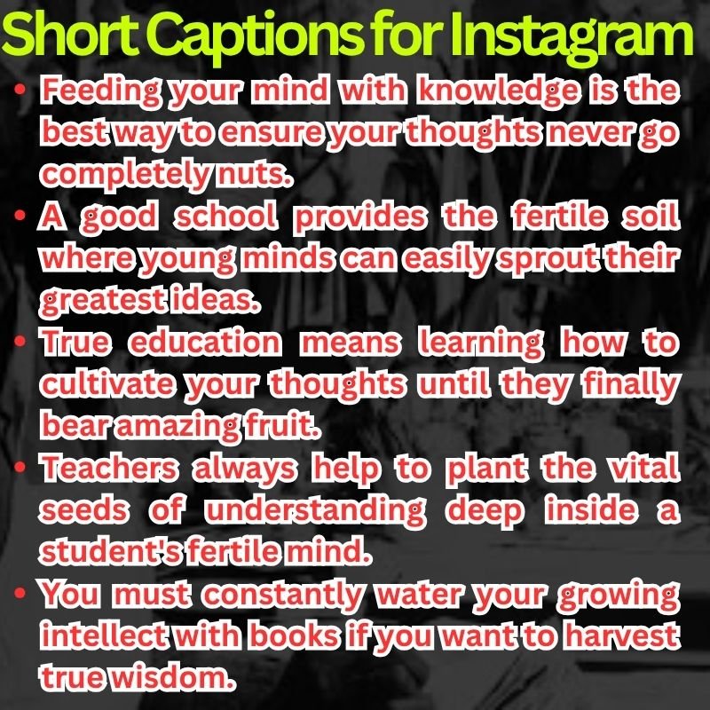 Short Captions for Instagram